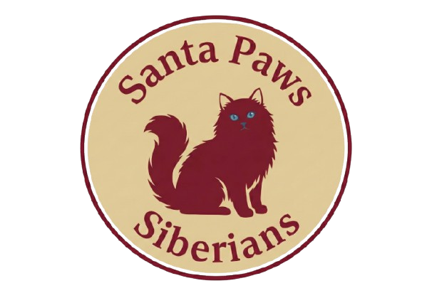 Santa Paws Siberians
